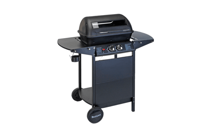 Barbecue à gaz avec grill
