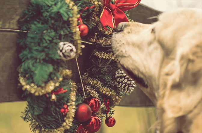 Weihnachtsvorbereitung für Frühaufsteher