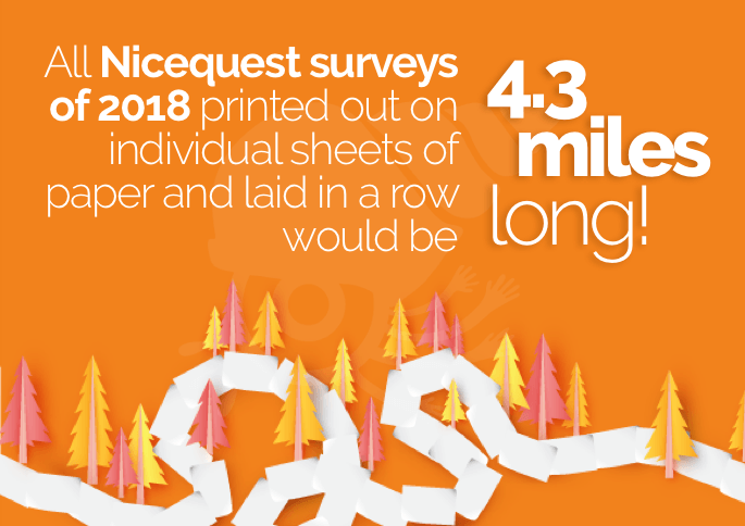 Nicequest surveys 2018