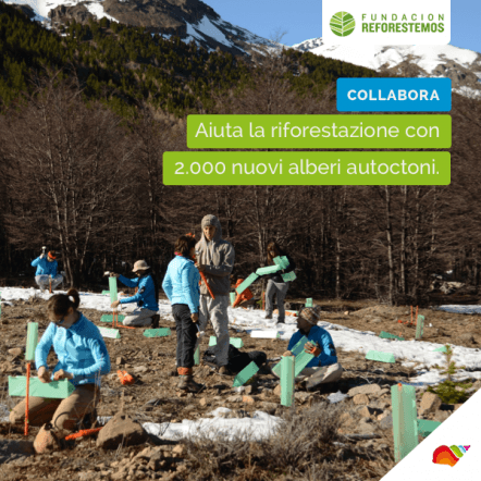La riforestazione della Patagonia è stato uno degli ultimi progetti di solidarietà che abbiamo promosso.
