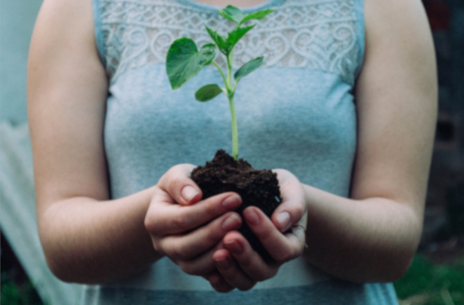 6 benefits of eating fewer animal products