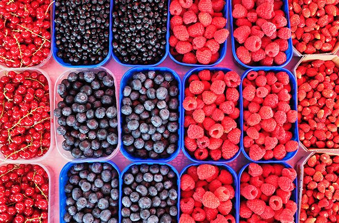 Los 5 mejores alimentos para nutrir el cerebro