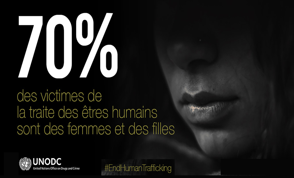 Source : Office des Nations unies contre la drogue et le crime