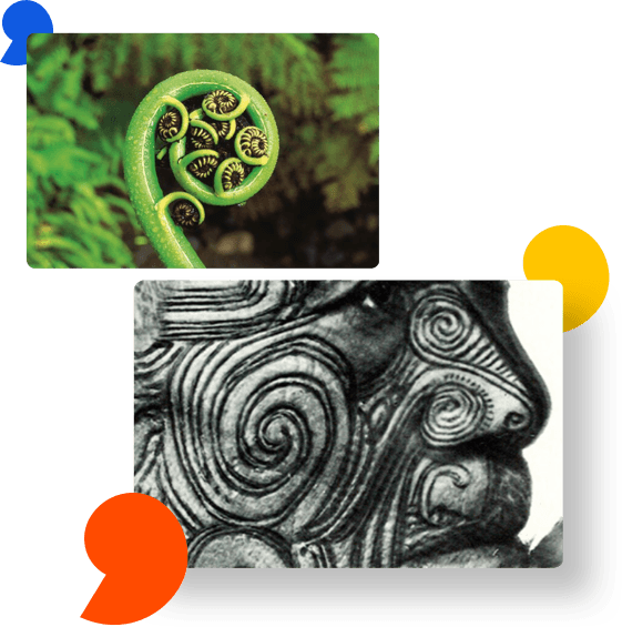 O Koru é um símbolo da cultura Maori.