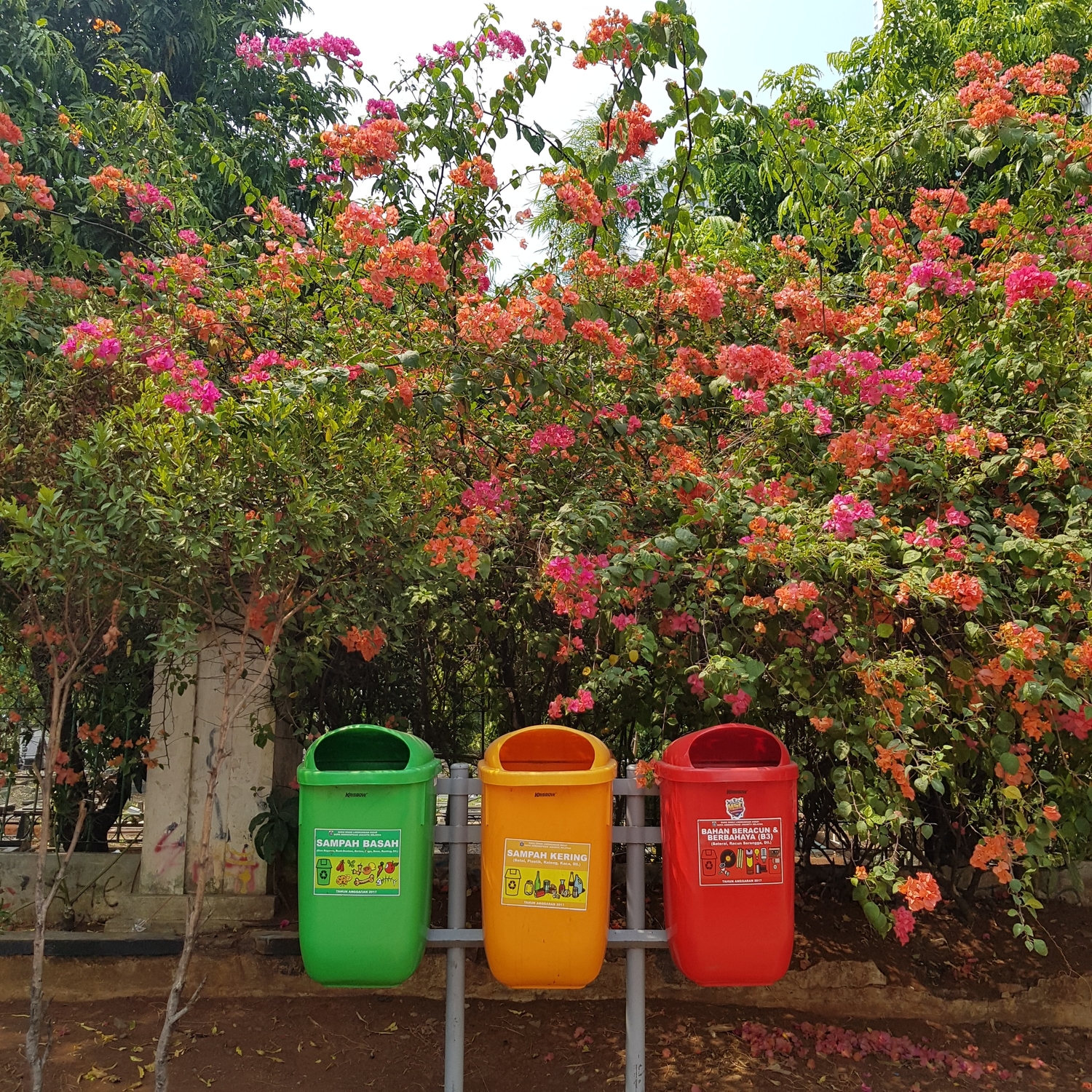 A reciclagem é um exemplo de responsabilidade social e de cuidado com o meio ambiente.